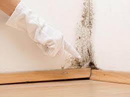 Best Asbestos and Lead Testing During Mold Inspection  in Dermott, AR